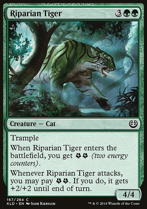 Riparian Tiger